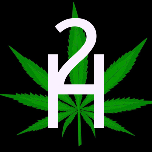 The original 2 High logo: the 2H lettermark over a cannabis leaf